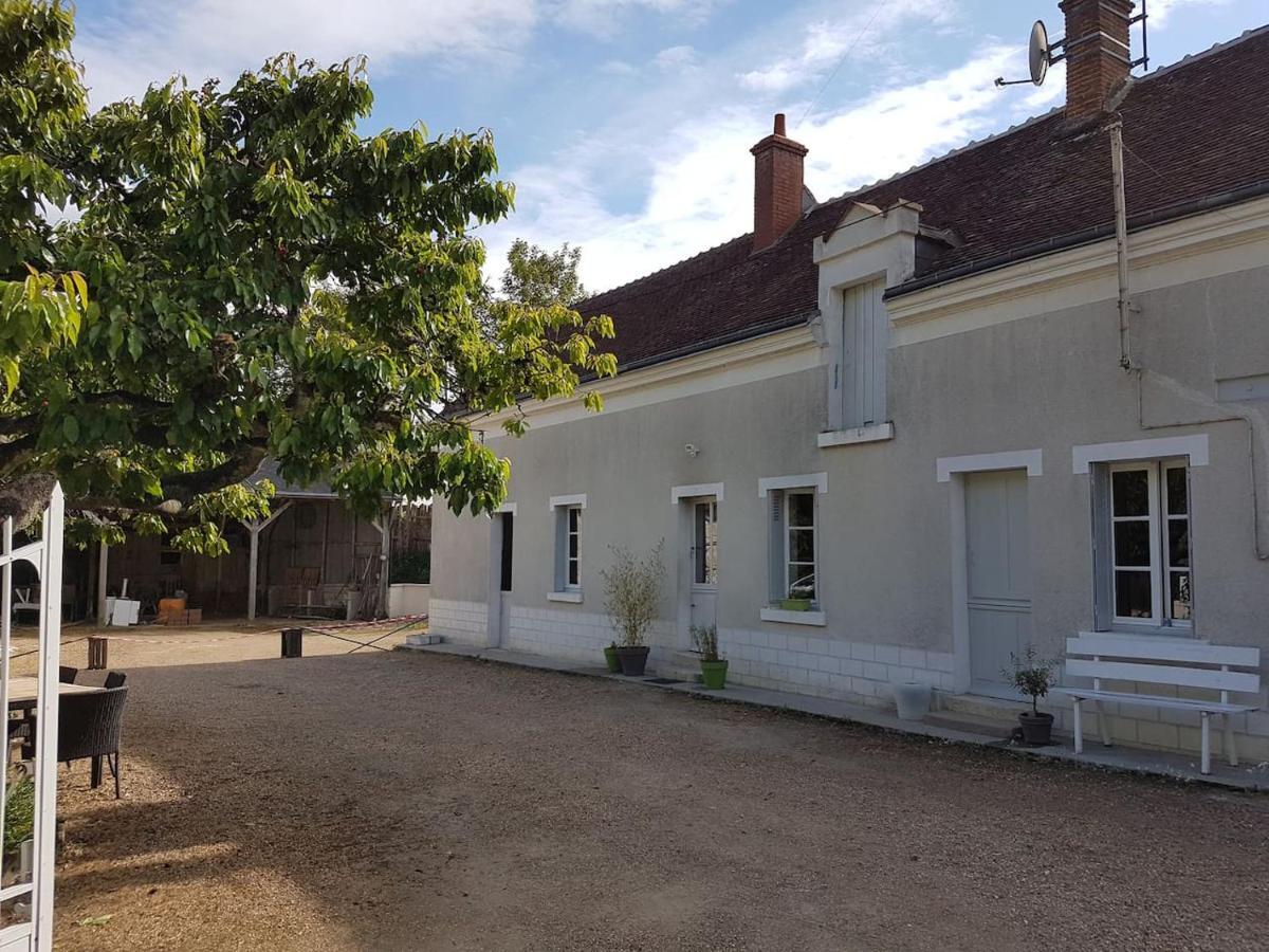 Gîte Caves de Beauval  Saint-Aignan  Exterior foto
